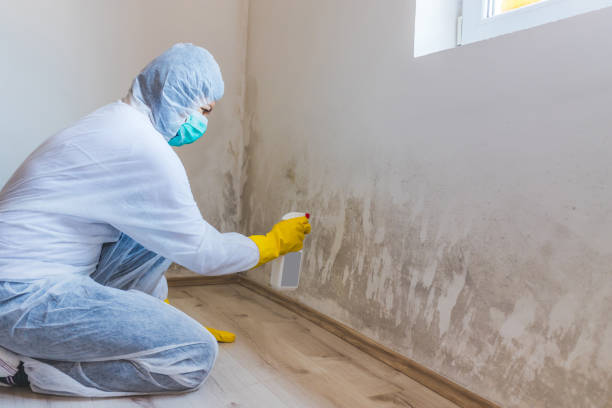 Mold Remediation specialist working in Plano